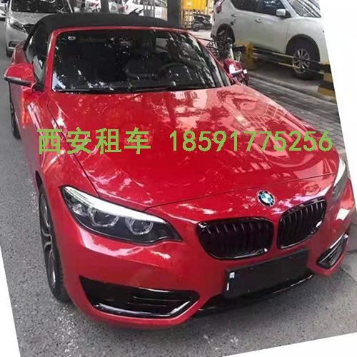  7座丰田霸道2700越野车,7座丰田霸道3500越野车,7座丰田汉兰达越野车,7座豪华版别克商务GL8（25S）,7座豪华版商务车GL8(28T),7座豪华版商务车GL8(652T),7座电动门豪华版商务车GL8（25S）,7座电动门豪华版商务车GL8(28T),7座电动门豪华版商务车GL8(652T), 7座奢华版奔驰威霆商务车(航空座椅),9座奢华版奔驰威霆商务车（不多）